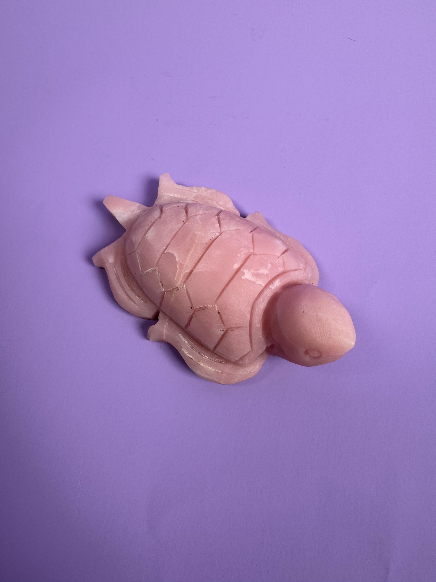 Pink Opal Turtle 15