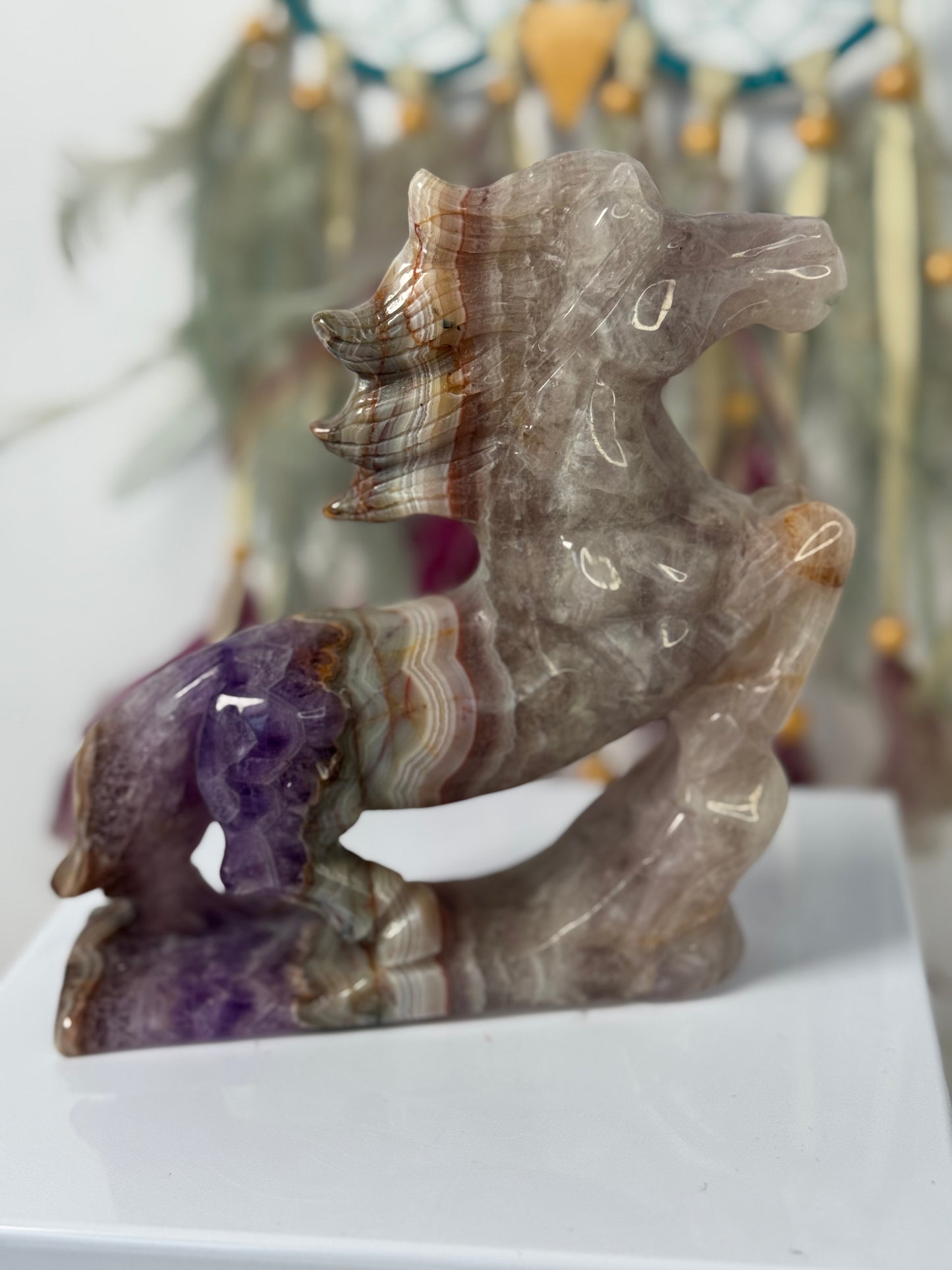 Paard Amethist met Crazy Lace Agaat