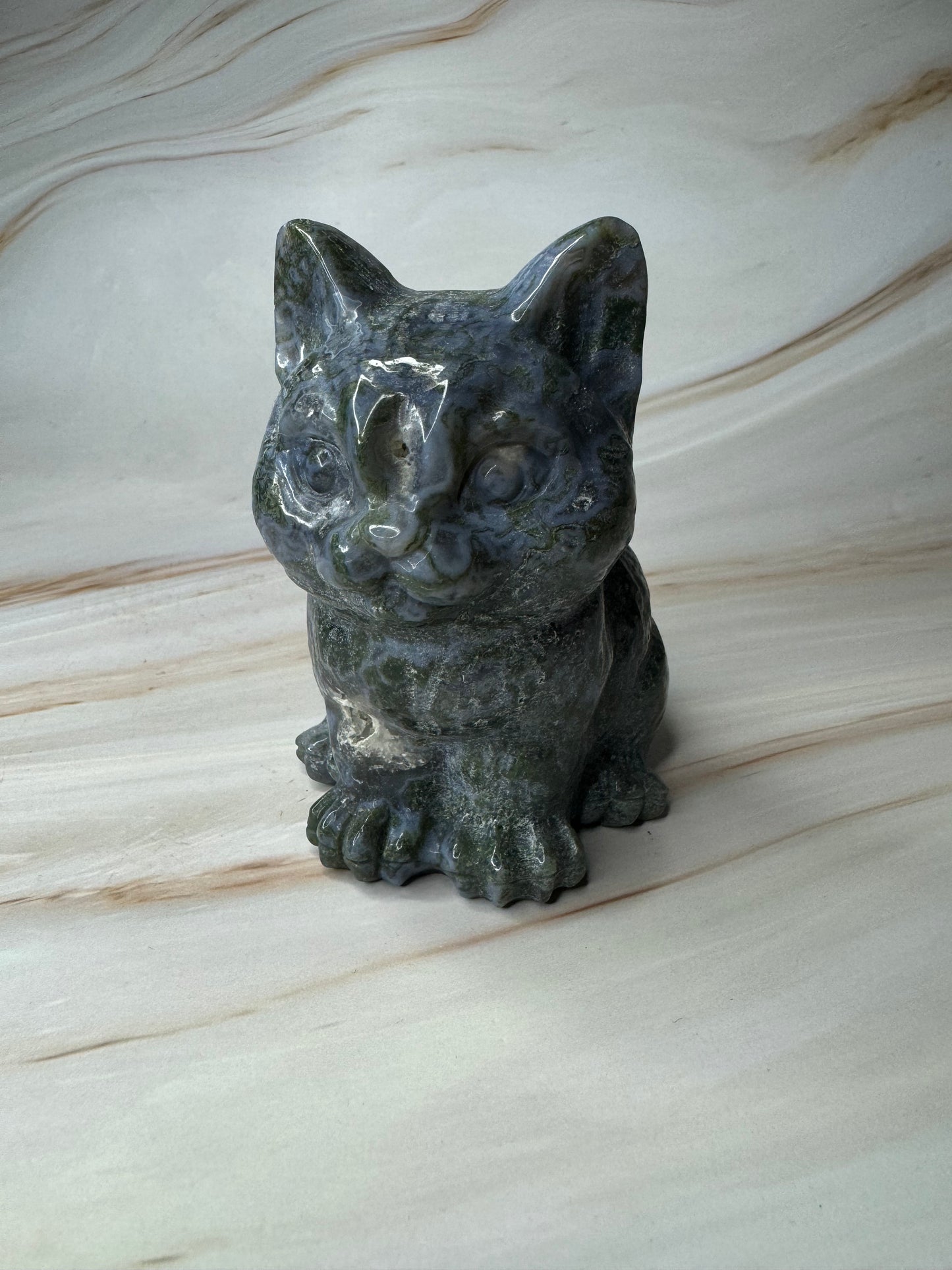 Mosagaat kat 54