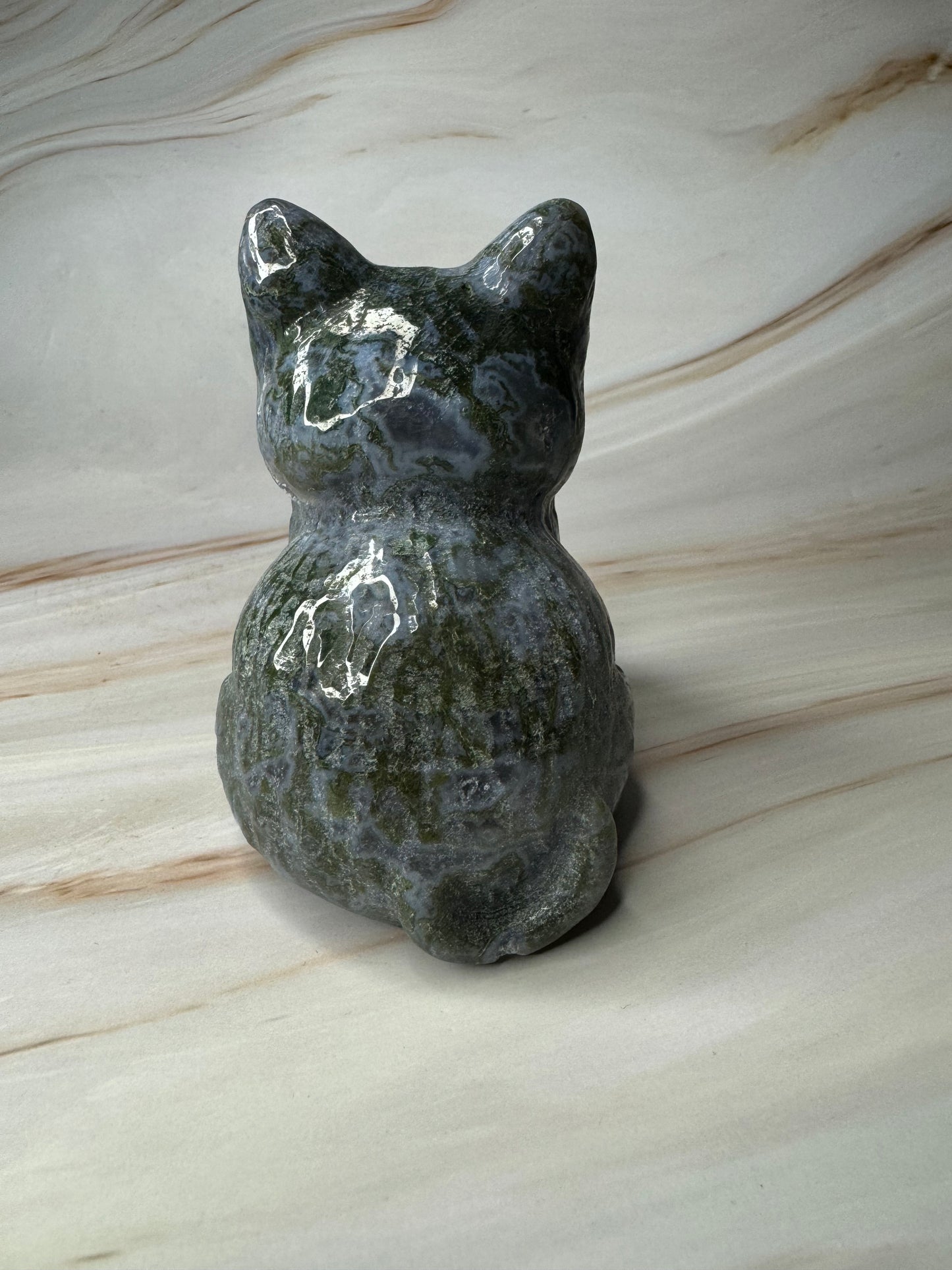 Mosagaat kat 54