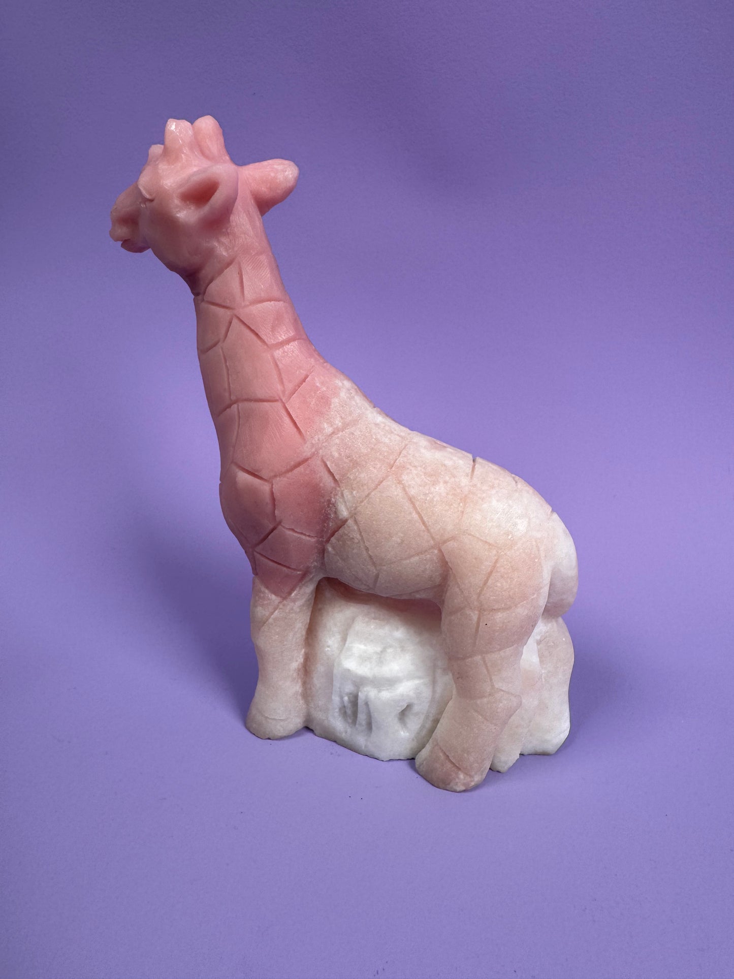 Pink Opal Giraffe 5