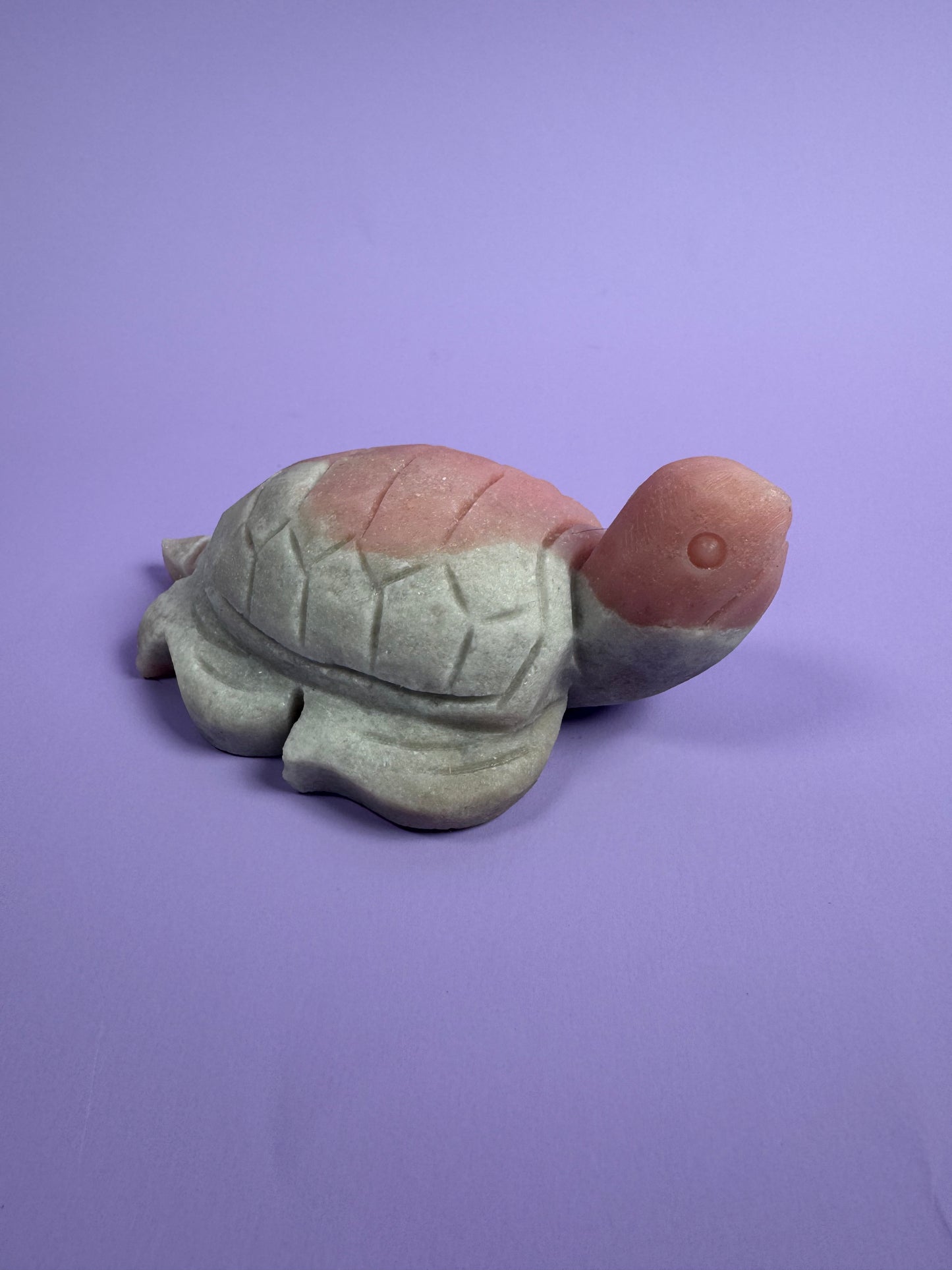 Roze Opaal schildpad 16