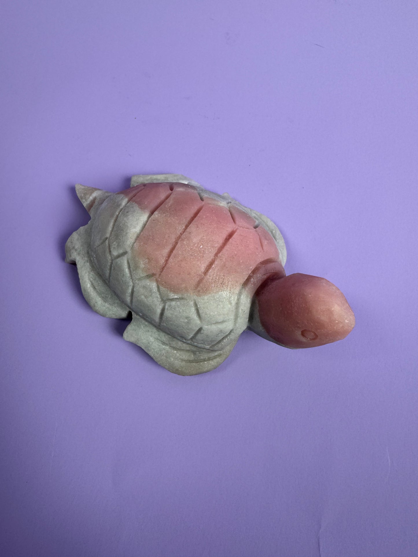 Roze Opaal schildpad 16