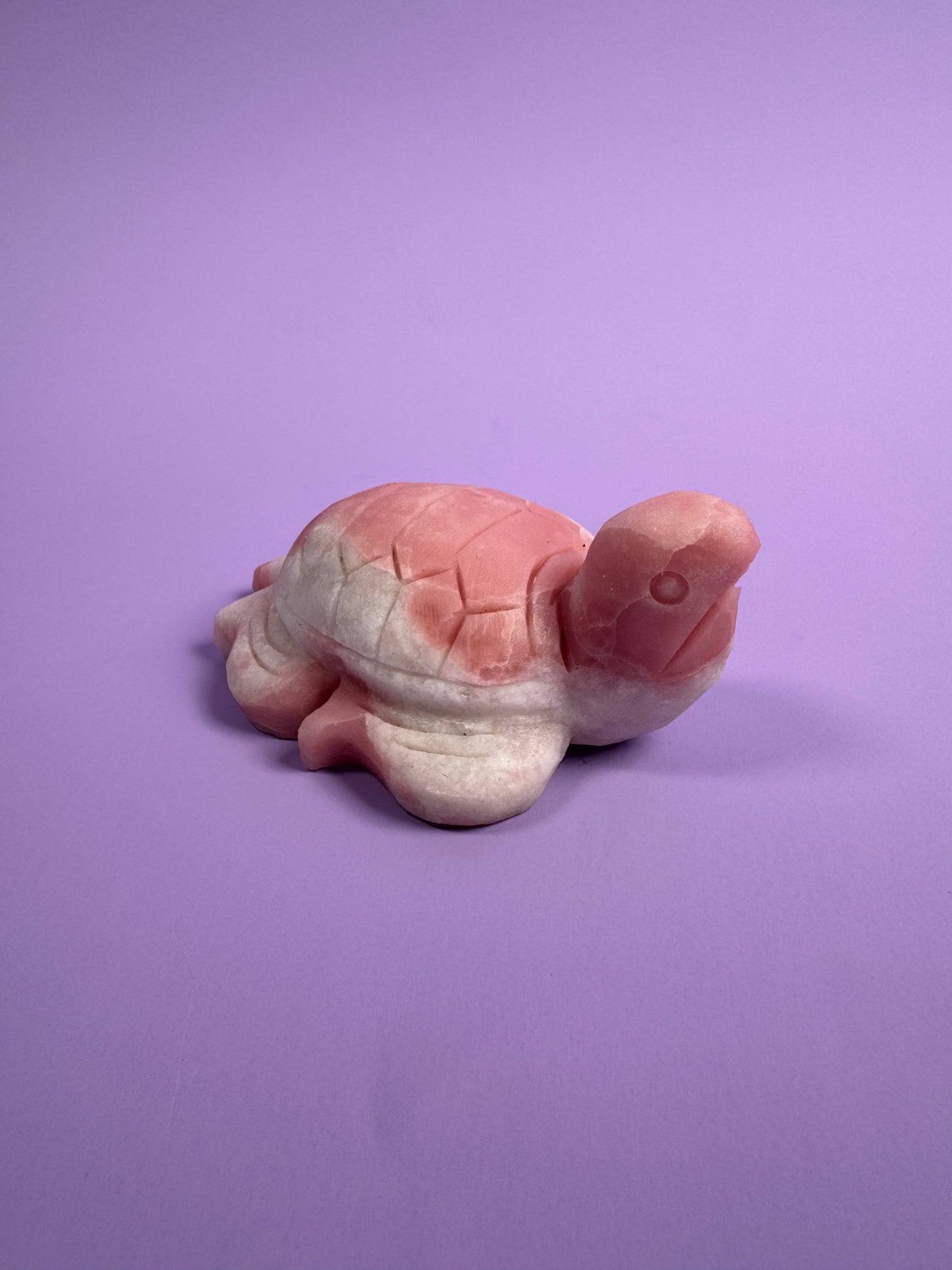 Pink Opal Tortoise 17