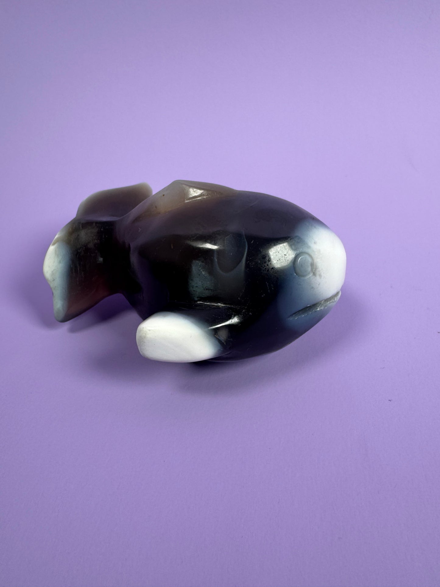 Orca Agate Whale 21