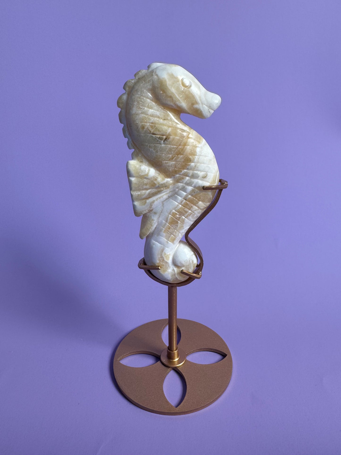Seahorse Yellow Calcite 5