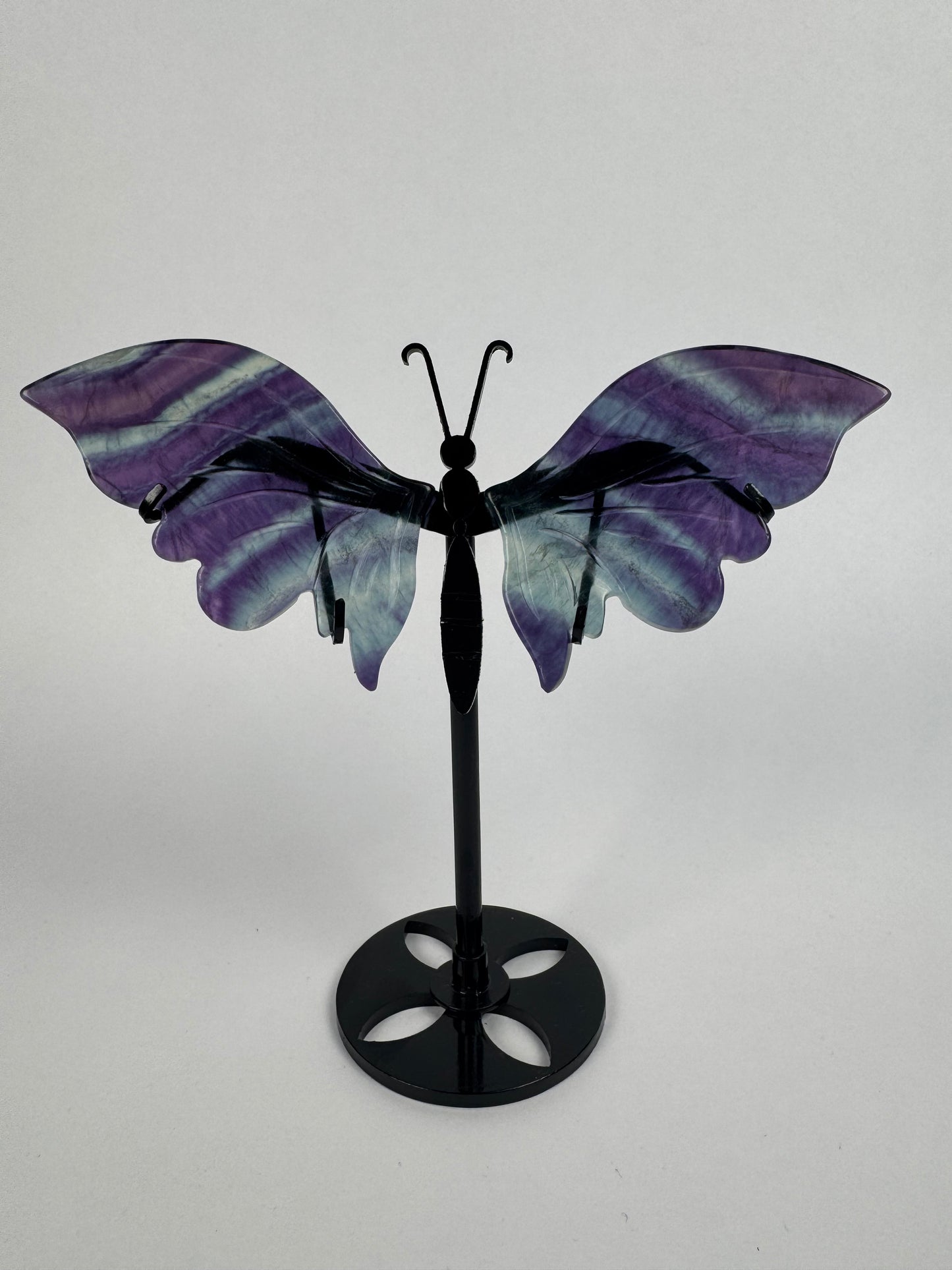 Fluorite butterfly 21