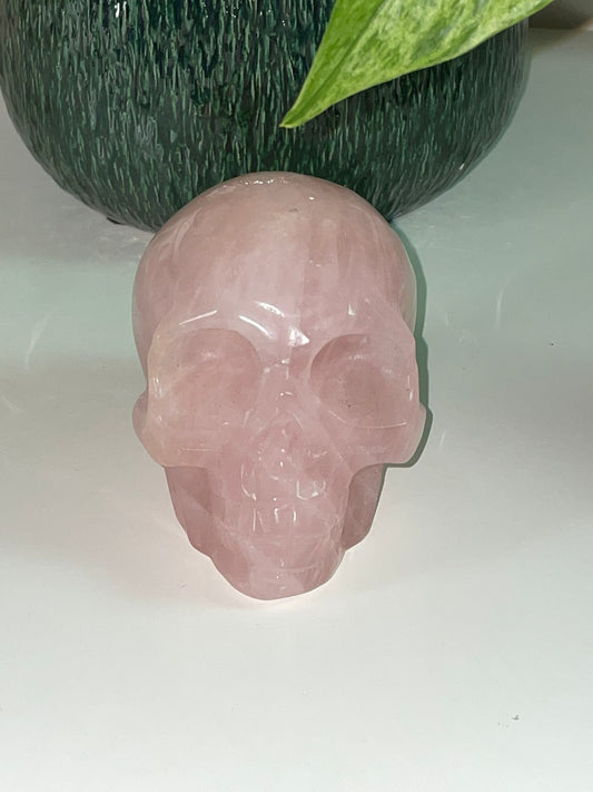 Rozenkwarts skull