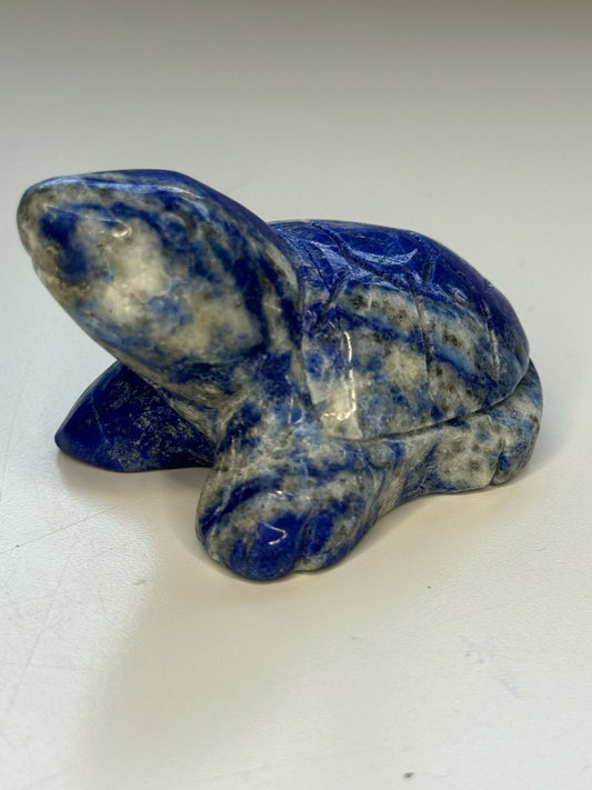Lapis Lazuli schildpad