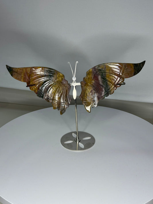 Oceaan Jaspis vlinder 59