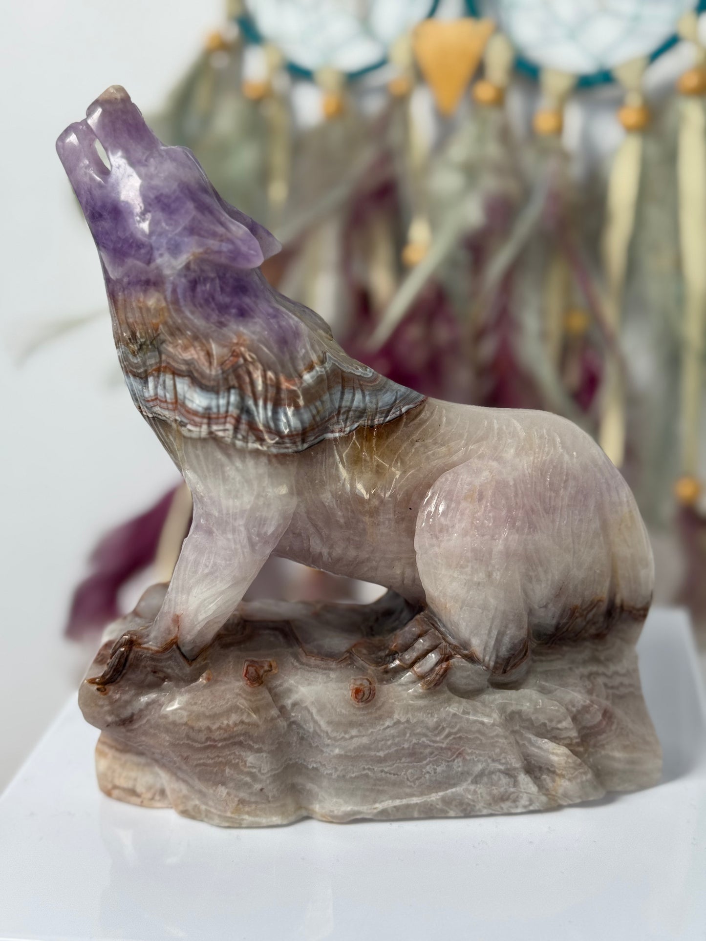 Wolf Amethist met Crazy Lace Agaat 11
