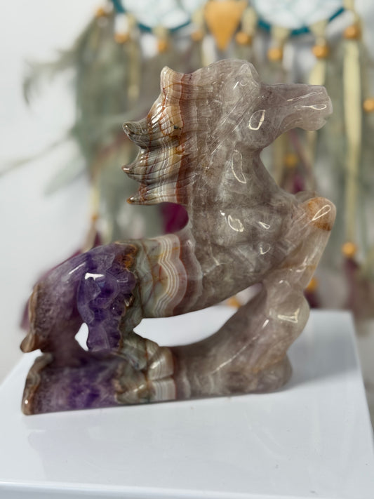 Paard Amethist met Crazy Lace Agaat