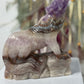 Wolf Amethist met Crazy Lace Agaat 11