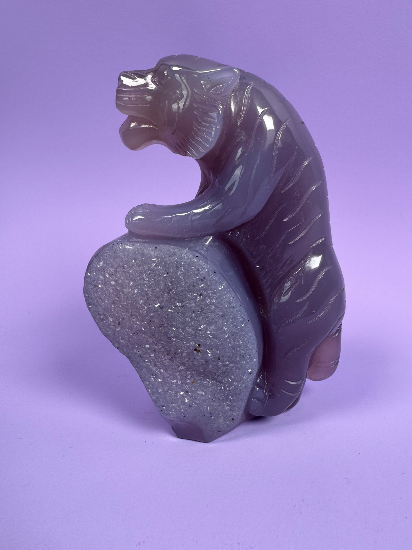 Agaat tijger 6