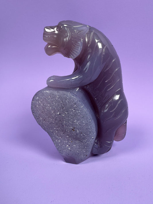 Agate tiger 6
