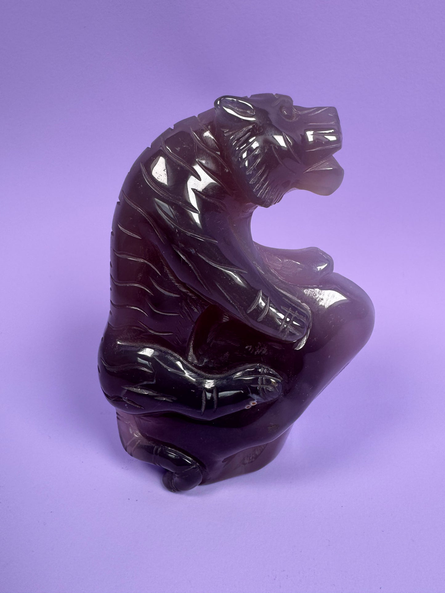 Agaat tijger 6