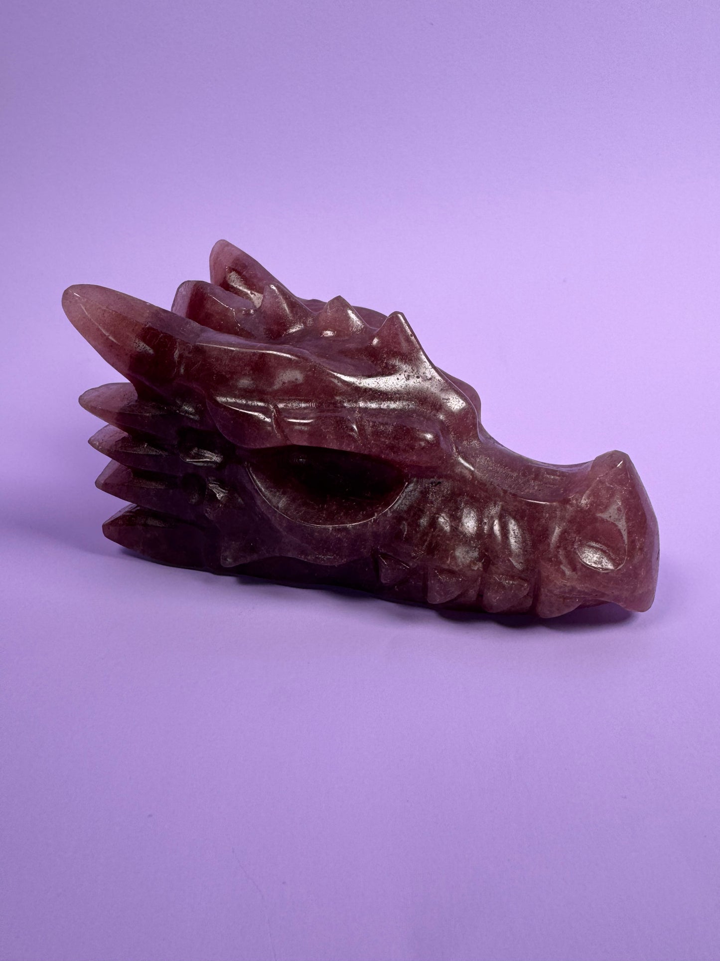 Aardbeienkwarts drakenkop 11