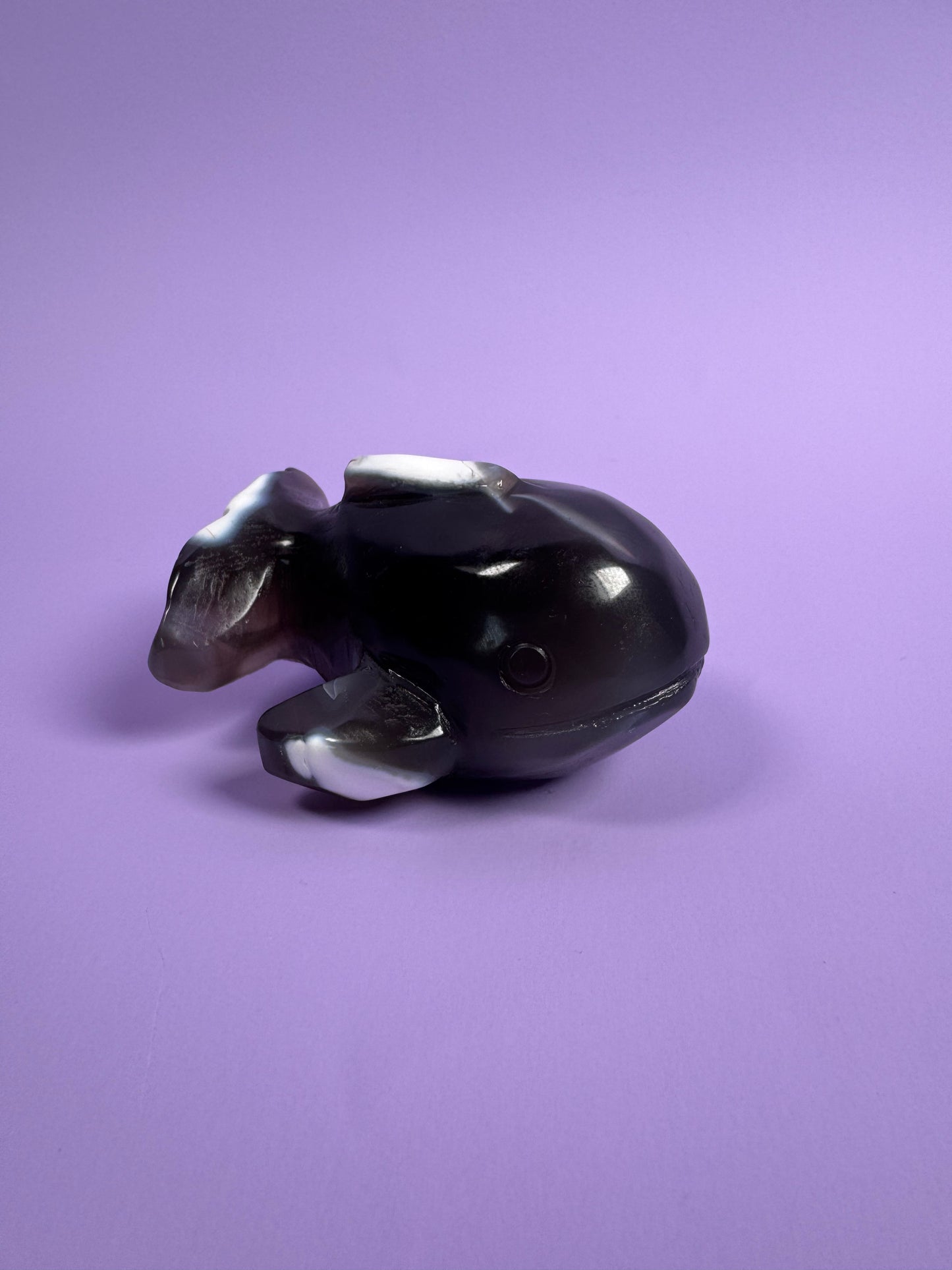 Orka Agaat walvis 19