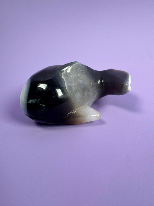 Orca Agate Whale 21