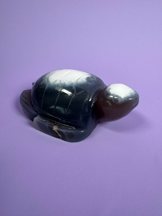 Orca Agate Turtle 24