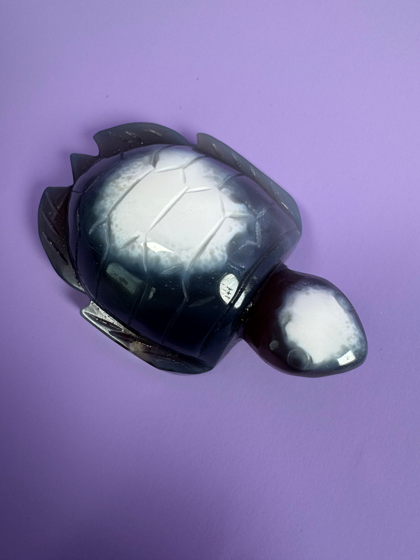 Orka Agaat schildpad 24