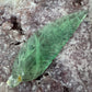 Fluorite feather 16