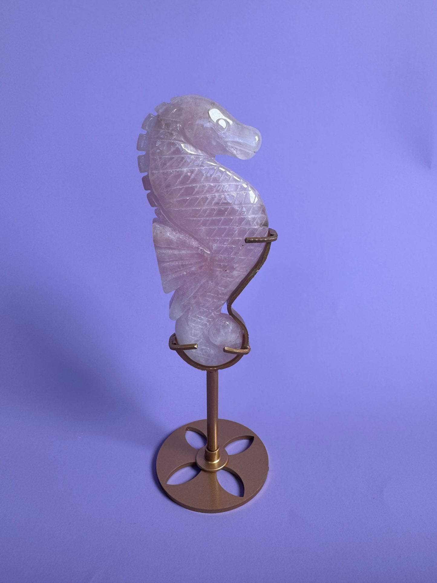 Zeepaardje Rozenkwarts 3