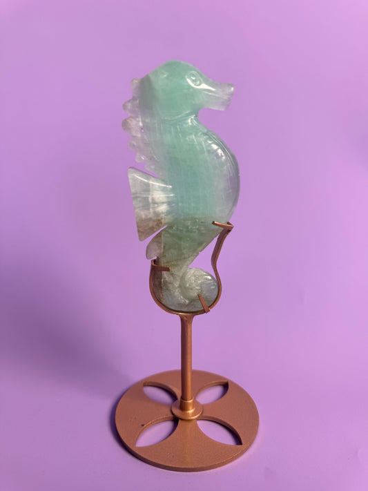 Zeepaardje Fluoriet 11