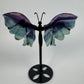 Fluorite butterfly 19