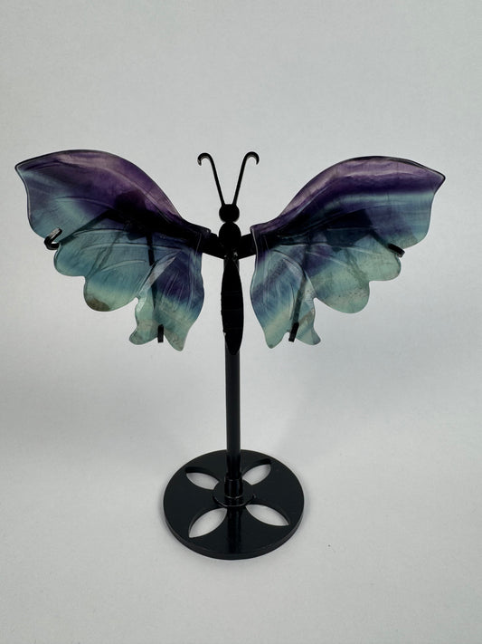 Fluorite butterfly 19