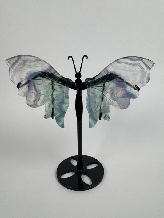 Fluorite butterfly 20