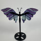Fluorite butterfly 21