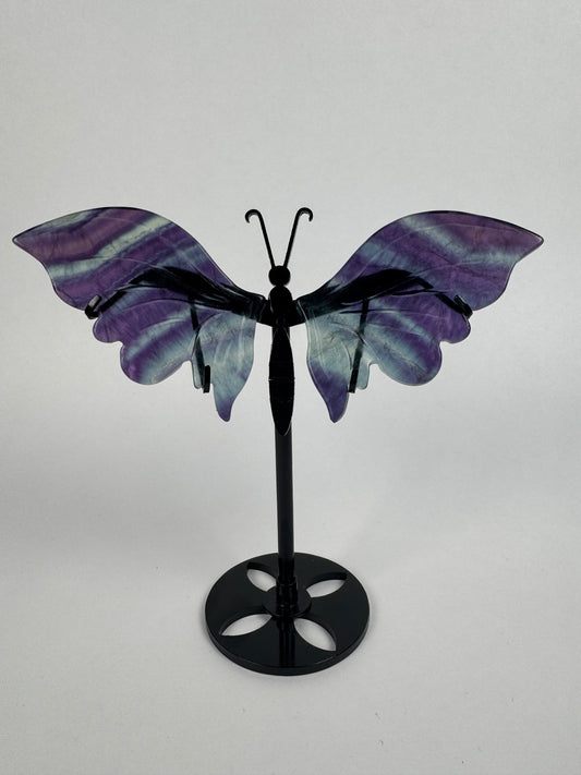 Fluorite butterfly 21