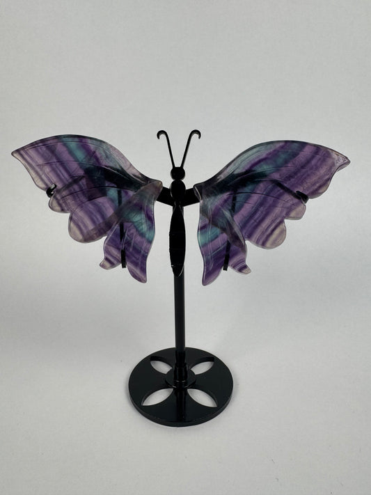 Fluorite butterfly 22