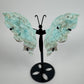 Hemimorphite butterfly 24