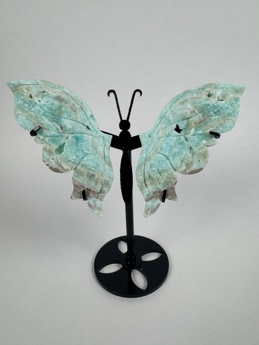 Hemimorphite butterfly 24