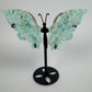 Hemimorphite butterfly 26