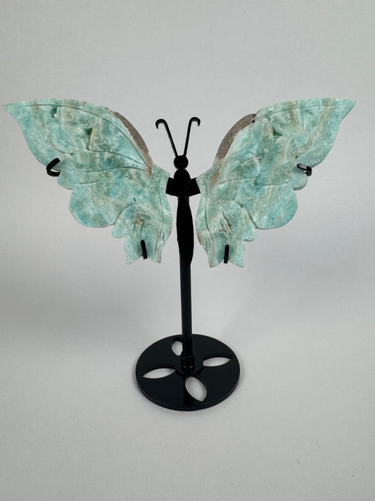 Hemimorphite butterfly 26