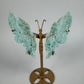Hemimorphite butterfly 28