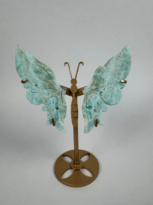 Hemimorphite butterfly 28
