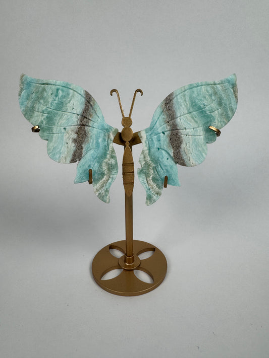 Hemimorphite butterfly 29
