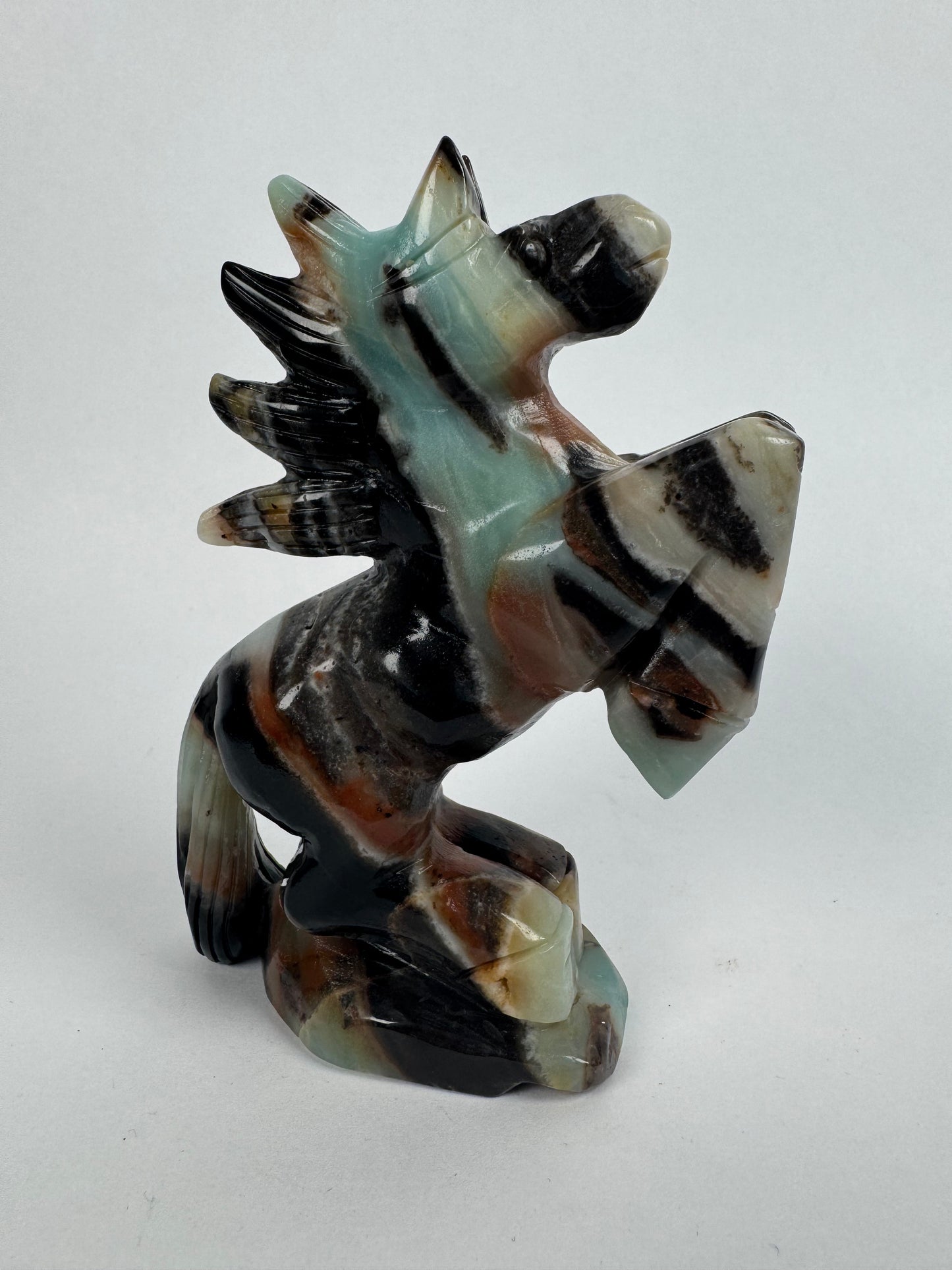 Caribbean Blue Calciet paard 32