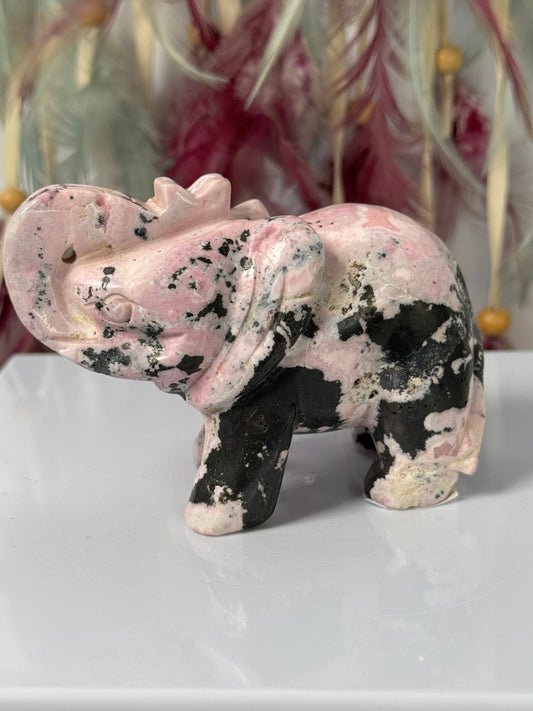 Olifant Peruaanse Rhodoniet 5