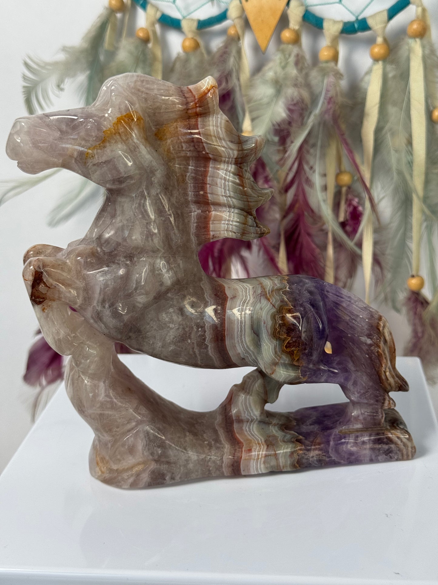 Paard Amethist met Crazy Lace Agaat