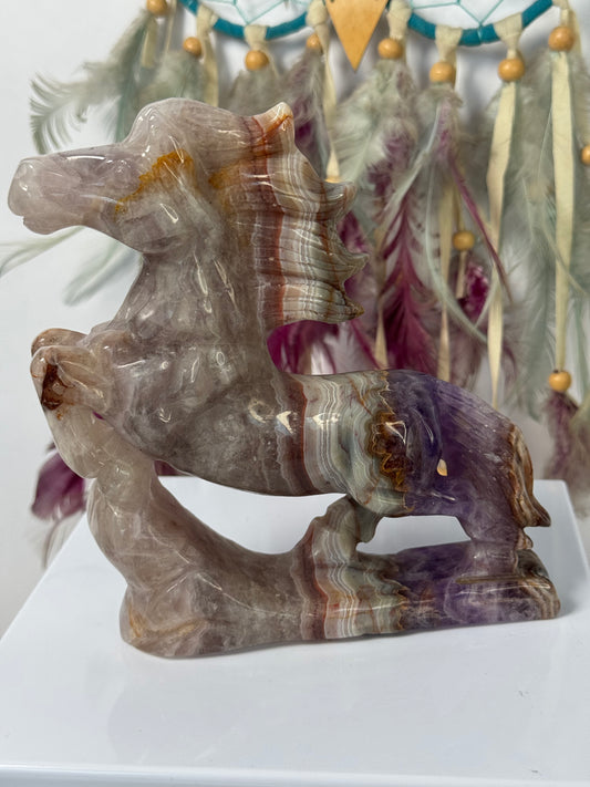 Paard Amethist met Crazy Lace Agaat