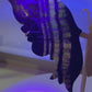 Fluorite butterfly (UV reactive) 19